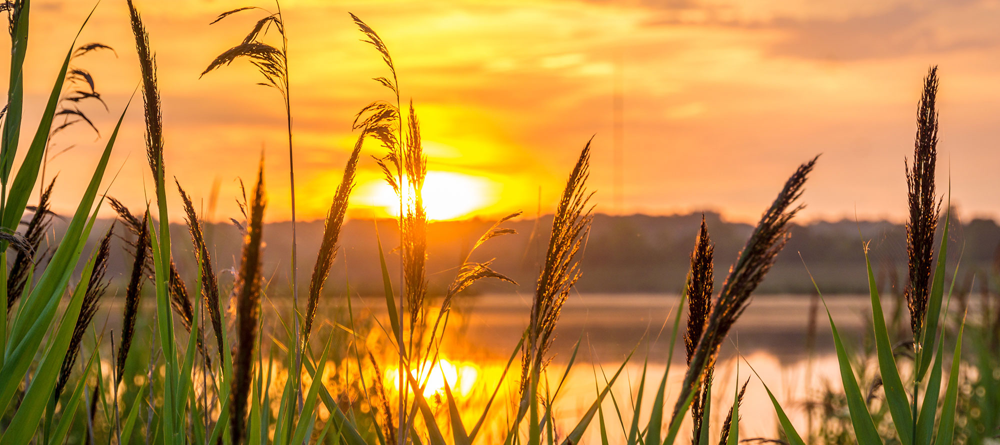Sonnenuntergang am See